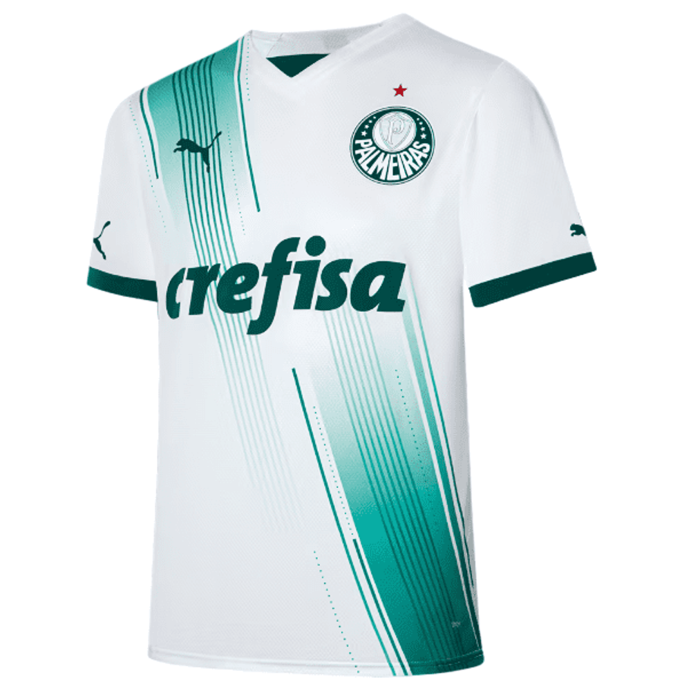 Camisa do 2024 palmeiras puma azul